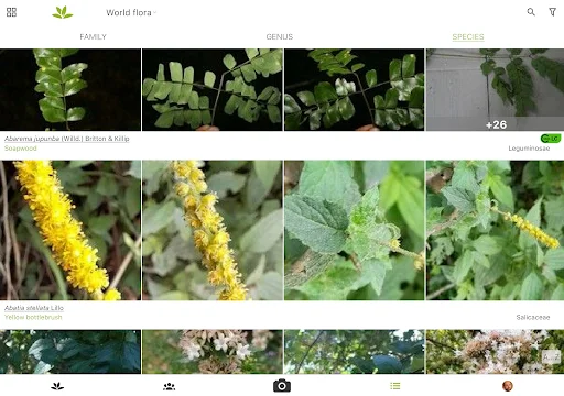 ดาวน์โหลด PlantNet ระบุชนิดพืชแม่นยำ – แอปดีที่คนรักต้นไม้ต้องมี - Screenshot 11