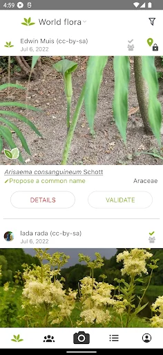 ดาวน์โหลด PlantNet ระบุชนิดพืชแม่นยำ – แอปดีที่คนรักต้นไม้ต้องมี - Screenshot 4