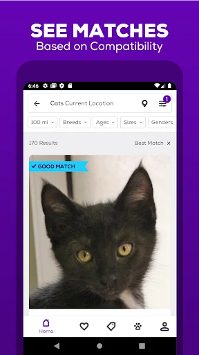 ดาวน์โหลด Petfinder – แอปหาบ้านใหม่ให้สัตว์เลี้ยง ค้นหาสุนัขและแมวที่น่ารักได้ง่ายๆ - Screenshot 2