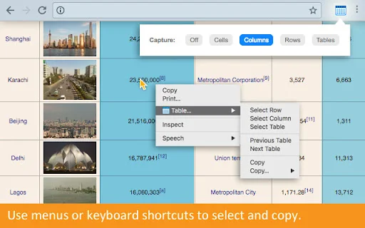 ดาวน์โหลด Copytables ส่วนขยาย Chrome – คัดลอกข้อมูลตารางง่ายๆ ฟรี - Screenshot 2