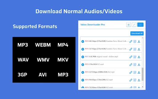 ดาวน์โหลด Video Downloader Pro ล่าสุด – เครื่องมือโหลดวิดีโอฟรี - Screenshot 2